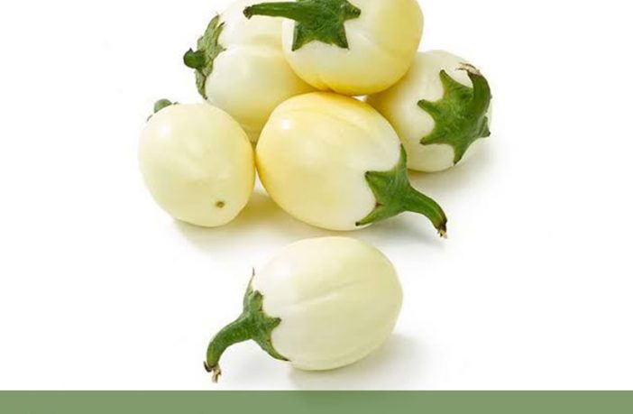 Facts-about-African-Eggplant-1-702x459